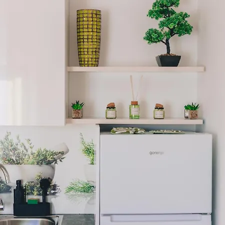 Zvjezdana Apartament *